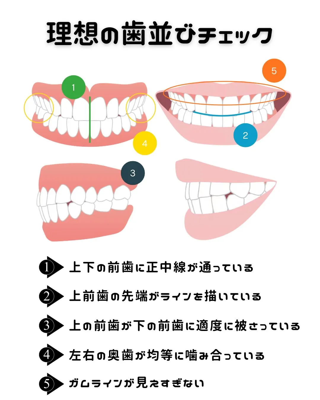 【思春期から守る一生モノの歯】