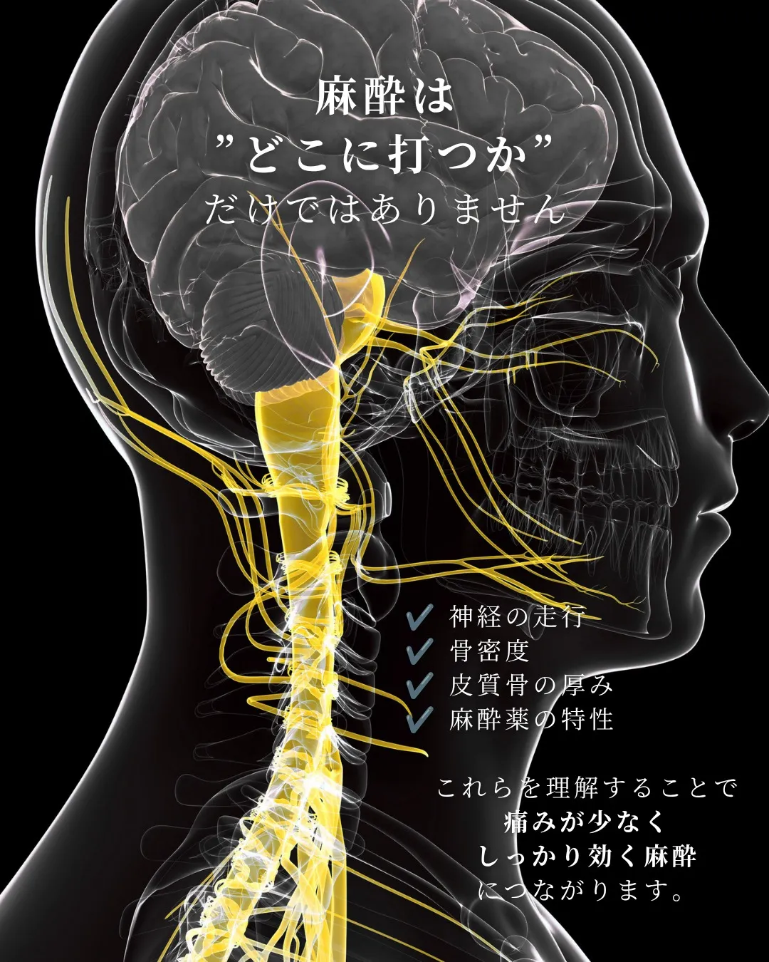 【痛くない麻酔には、理由があります】